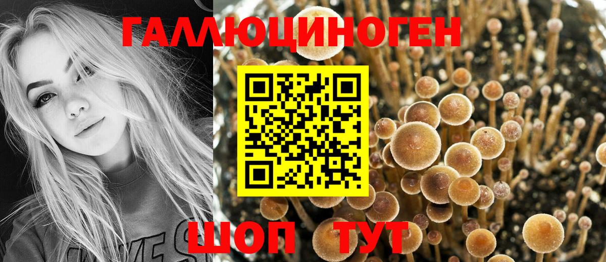 Галлюциногенные грибы мухоморы  где продают   Луховицы  Псилоцибиновые грибы мухоморы  Вход с VPN 